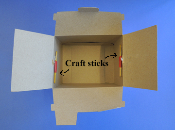 craft sticks