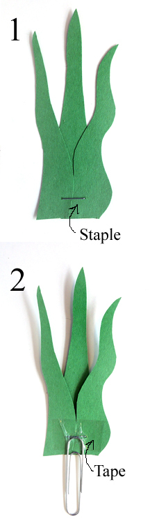 stapled and taped plant