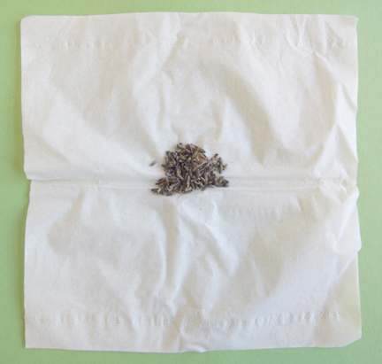 tissue and herbs