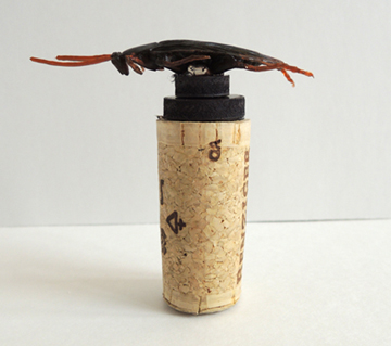 cockroach magnet cork