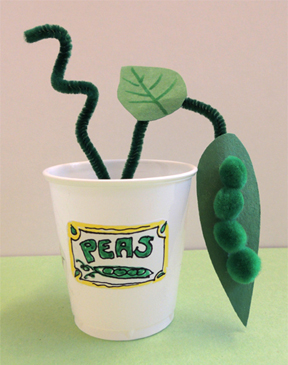 potted pea plant